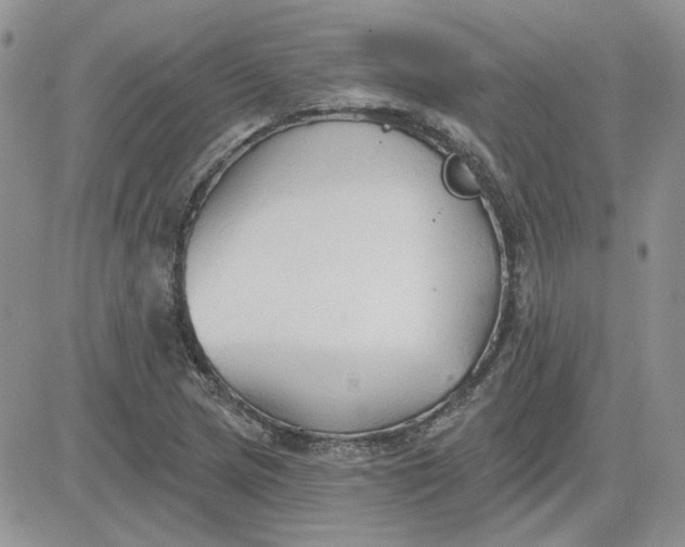 X0000081281217200701251619