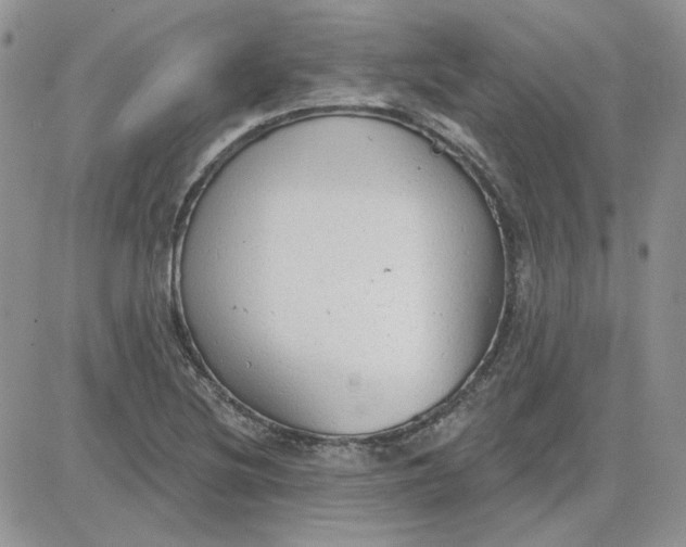 X0000081281220200701251619