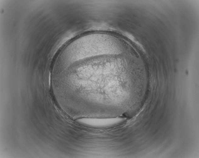 X0000081281221200701251619