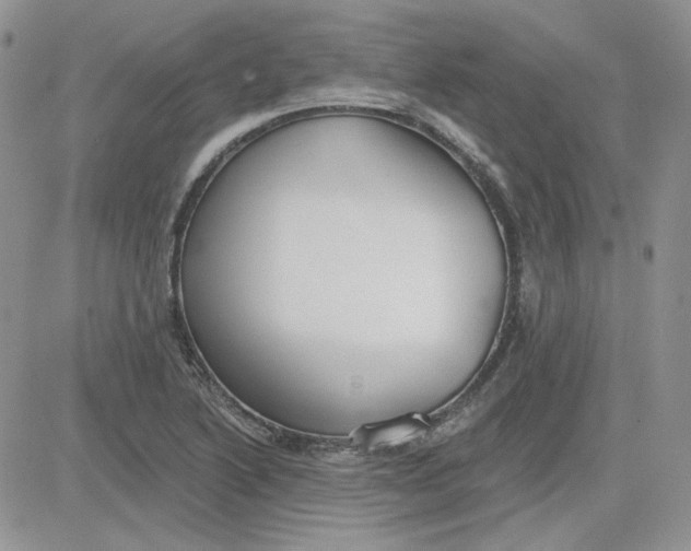 X0000081281222200701251619