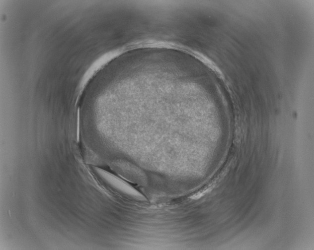 X0000081281223200701251619