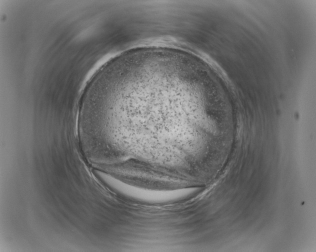 X0000081281224200701251619