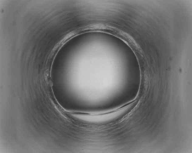 X0000081281225200701251619