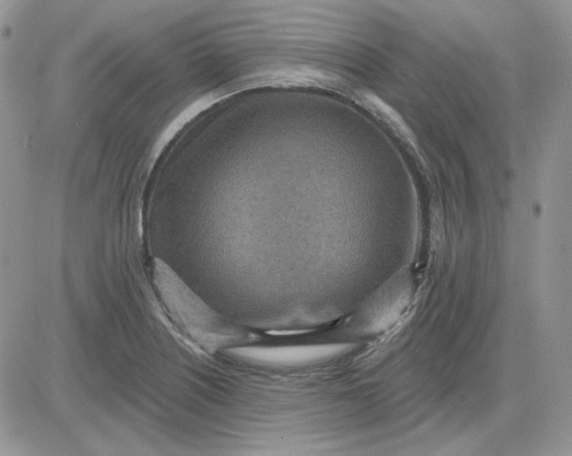 X0000081281226200701251619