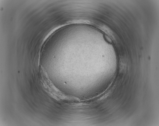 X0000081281228200701251619