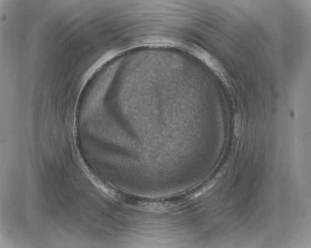 X0000081281229200701251619