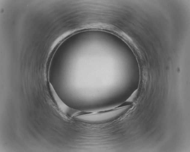 X0000081281230200701251620