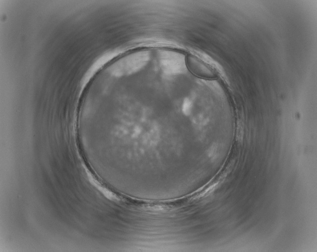 X0000081281231200701251620