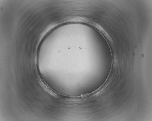 X0000081281232200701251620