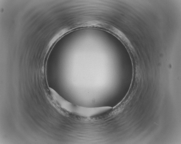 X0000081281234200701251620