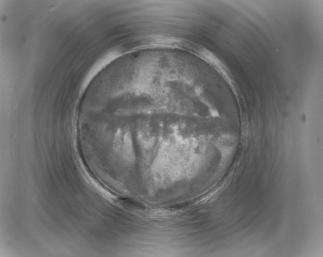 X0000081281235200701251620