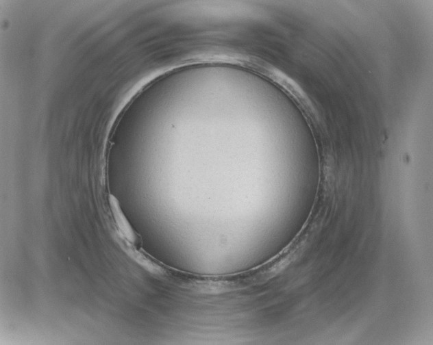 X0000081281236200701251620