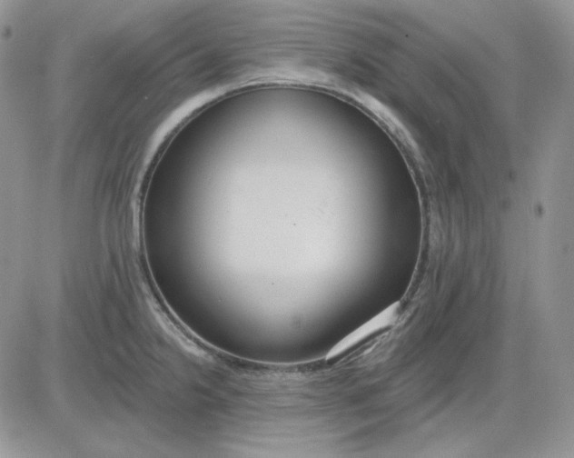 X0000081281238200701251620