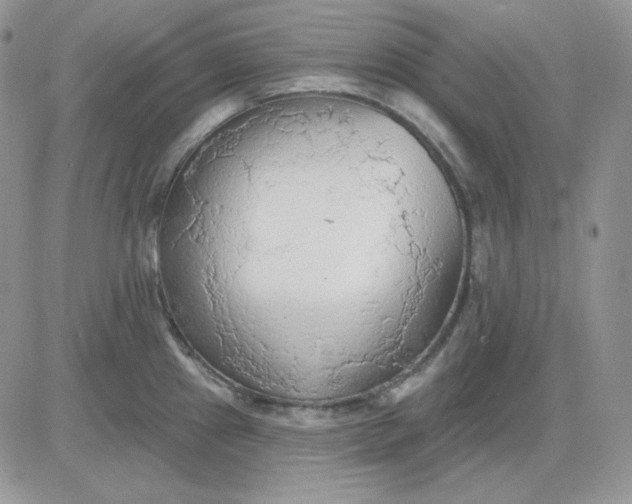 X0000081281241200701251620