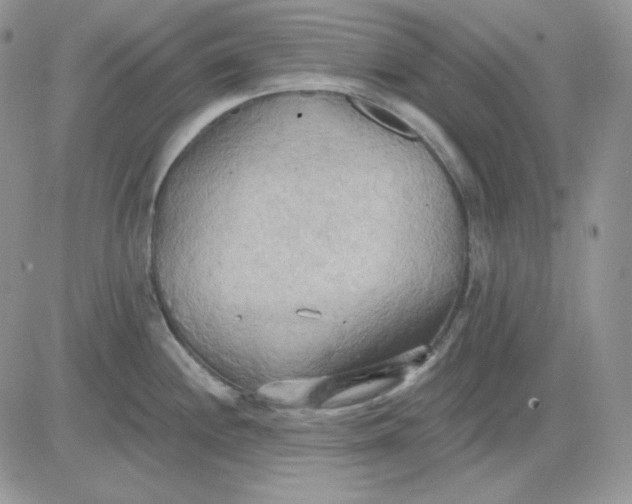 X0000081281244200701251620