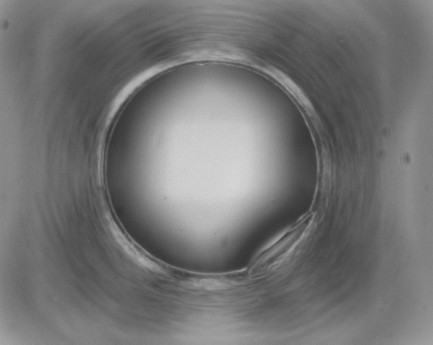 X0000081281246200701251620