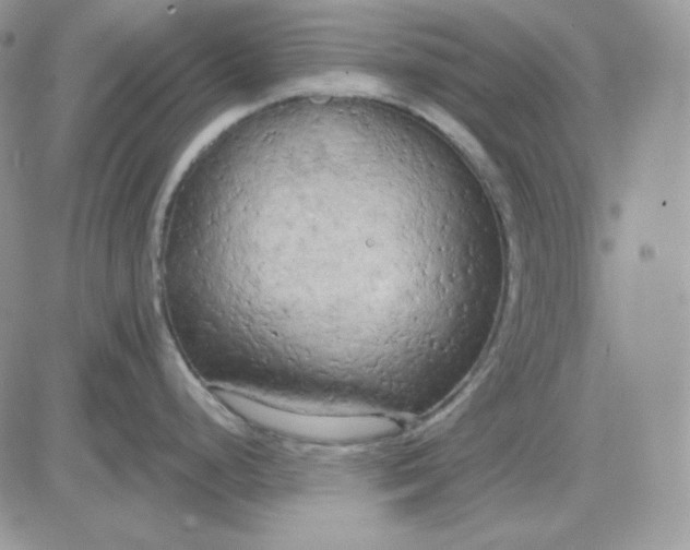 X0000081281248200701251620