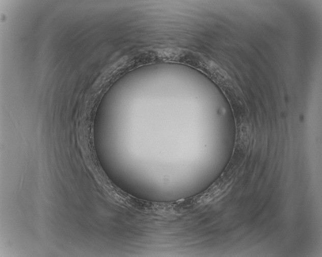 X0000081281249200701251619