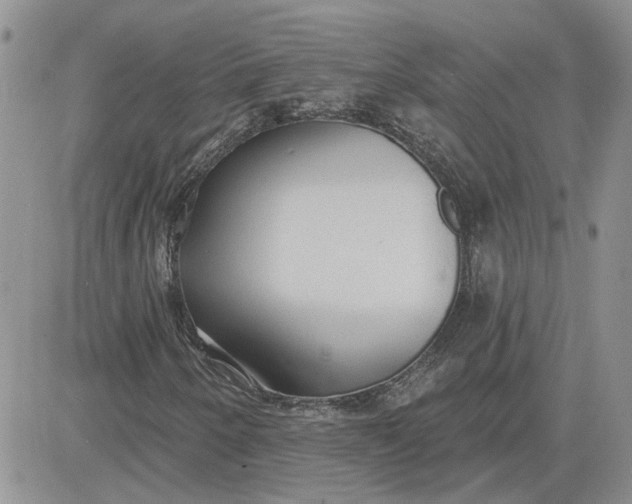 X0000081281250200701251619