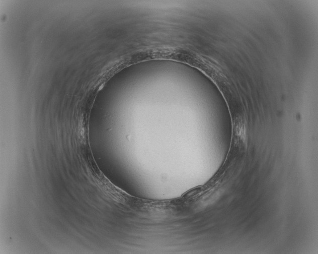 X0000081281252200701251619