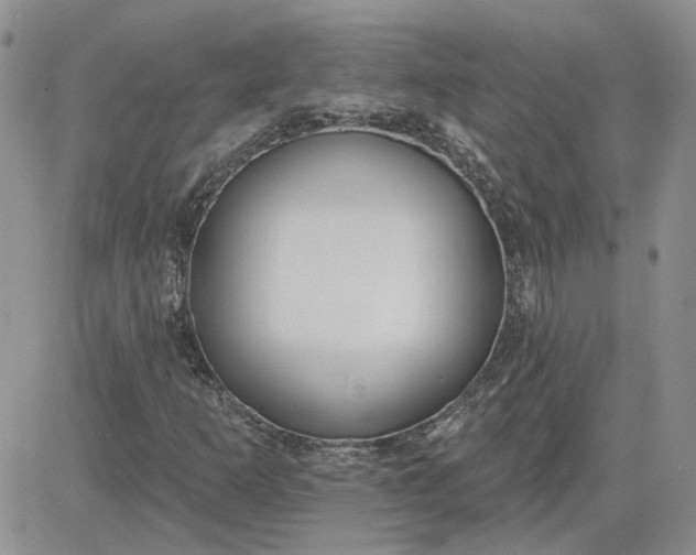 X0000081281253200701251619