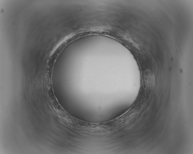 X0000081281256200701251619