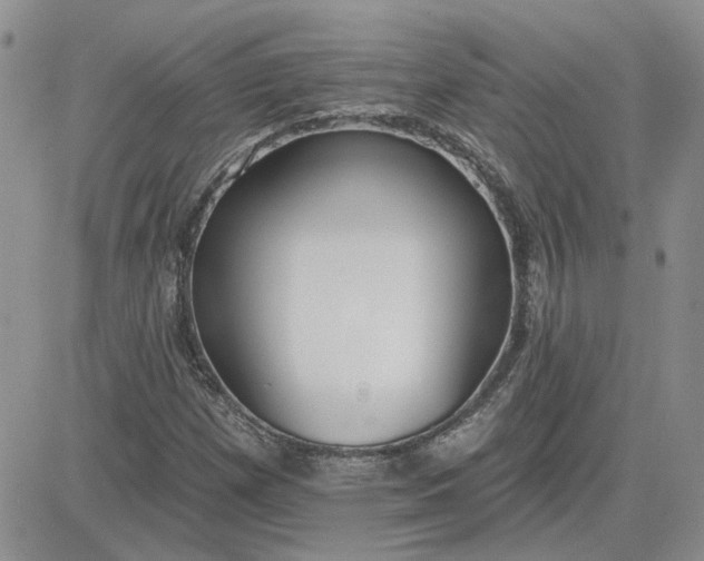 X0000081281257200701251619