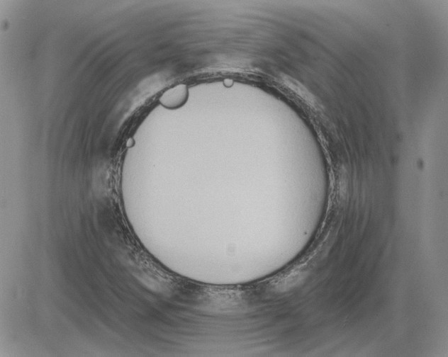 X0000081281258200701251619