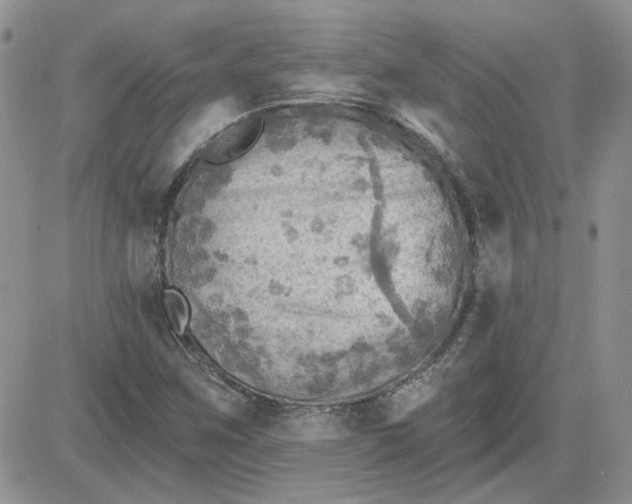 X0000081281259200701251619