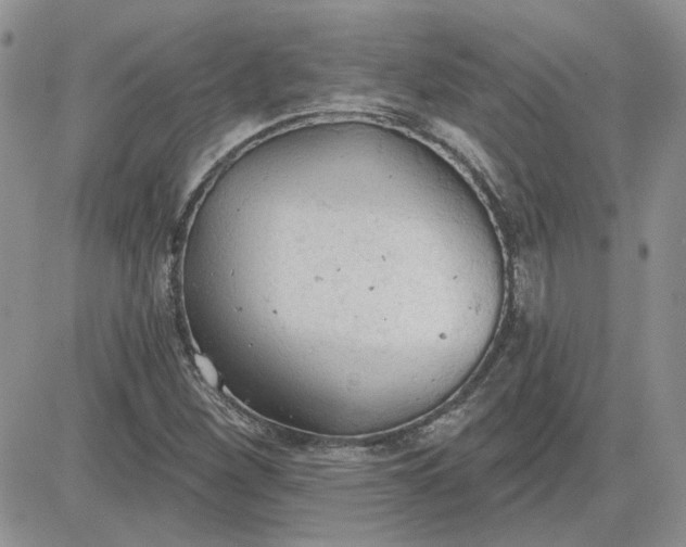 X0000081281260200701251619