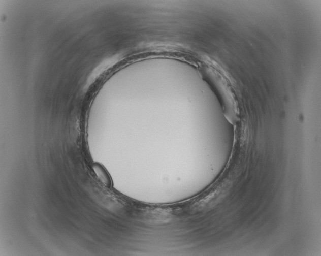 X0000081281261200701251619