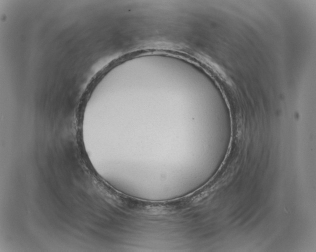 X0000081281264200701251619