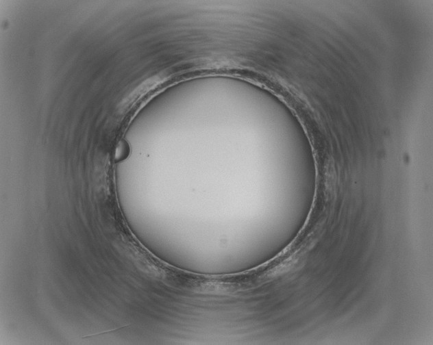 X0000081281265200701251619