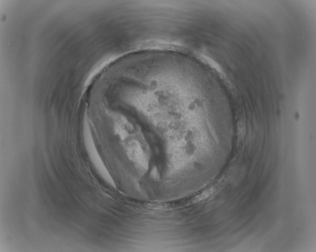 X0000081281267200701251619