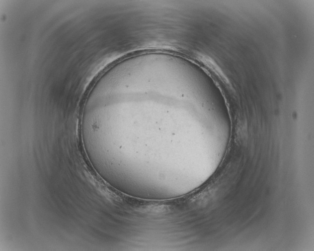 X0000081281268200701251619