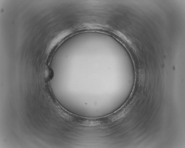 X0000081281269200701251619