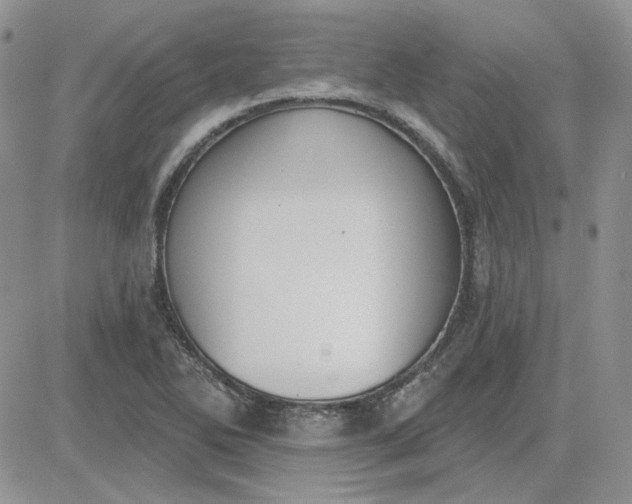 X0000081281270200701251619