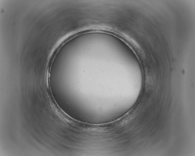 X0000081281272200701251619