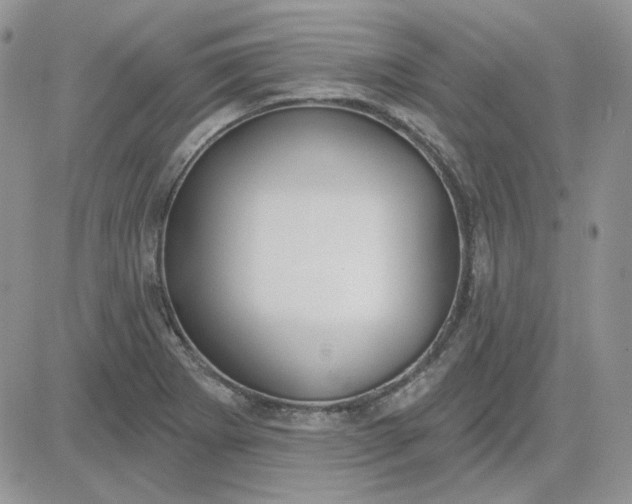 X0000081281273200701251619