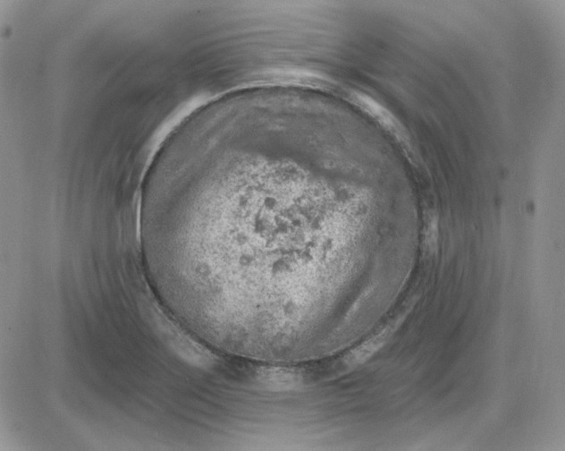 X0000081281275200701251619