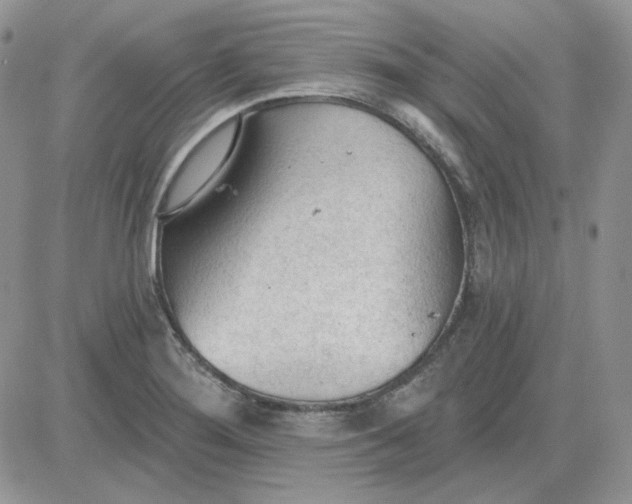 X0000081281276200701251619