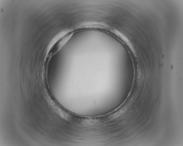 X0000081281277200701251619