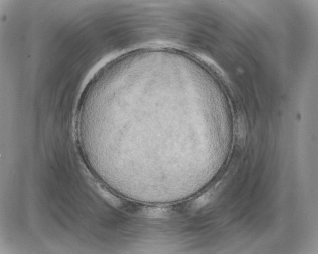 X0000081281278200701251619