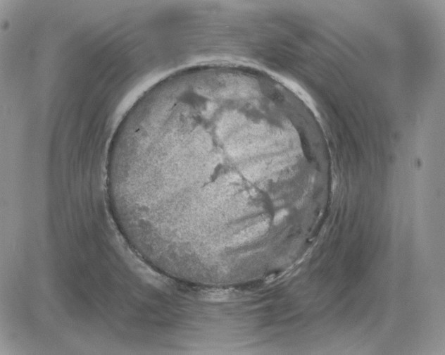 X0000081281279200701251619