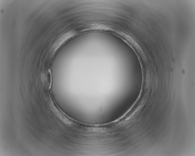 X0000081281281200701251619