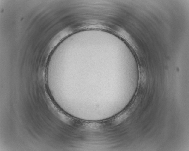 X0000081281282200701251618