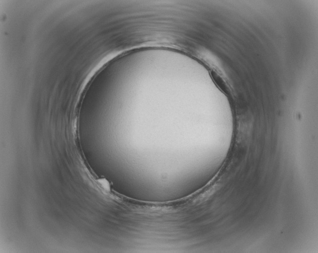 X0000081281284200701251618