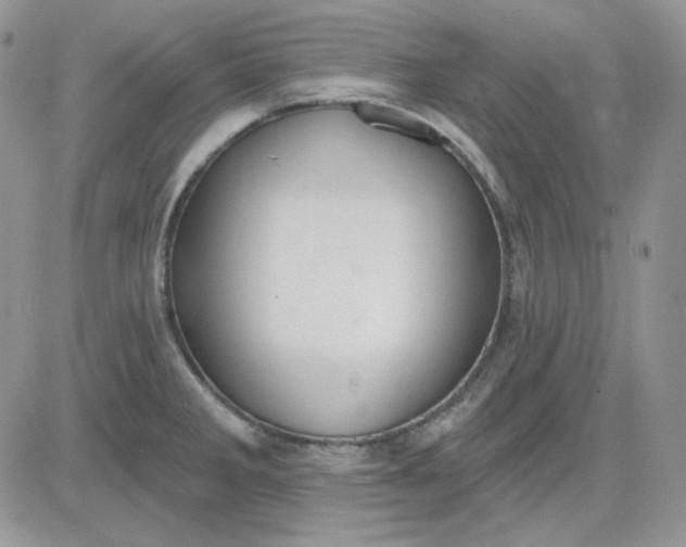 X0000081281285200701251618