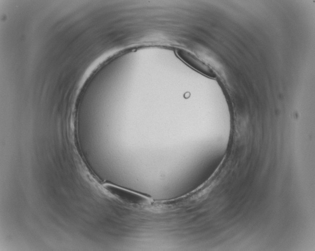 X0000081281288200701251618