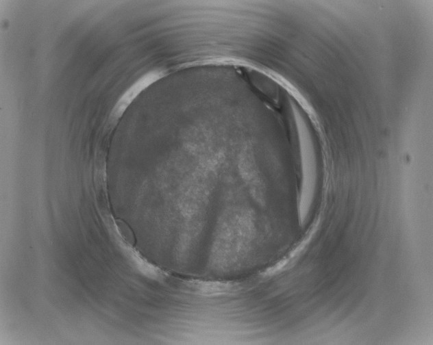 X0000081281289200701251618